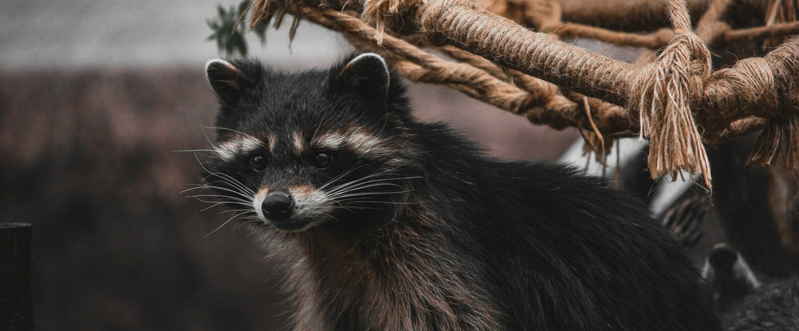 natalie-richards-2nADMSpcs6E-unsplash natalie-richards-2nADMSpcs6E-unsplash